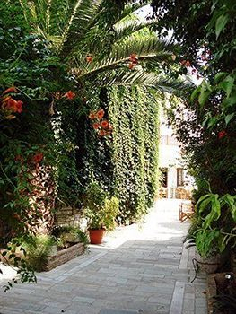 Pothos — фото 3