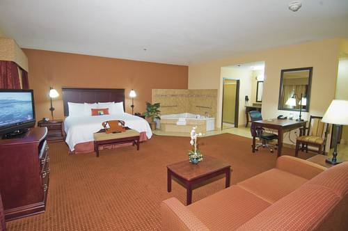 Hampton Inn & Suites Buda — фото 5