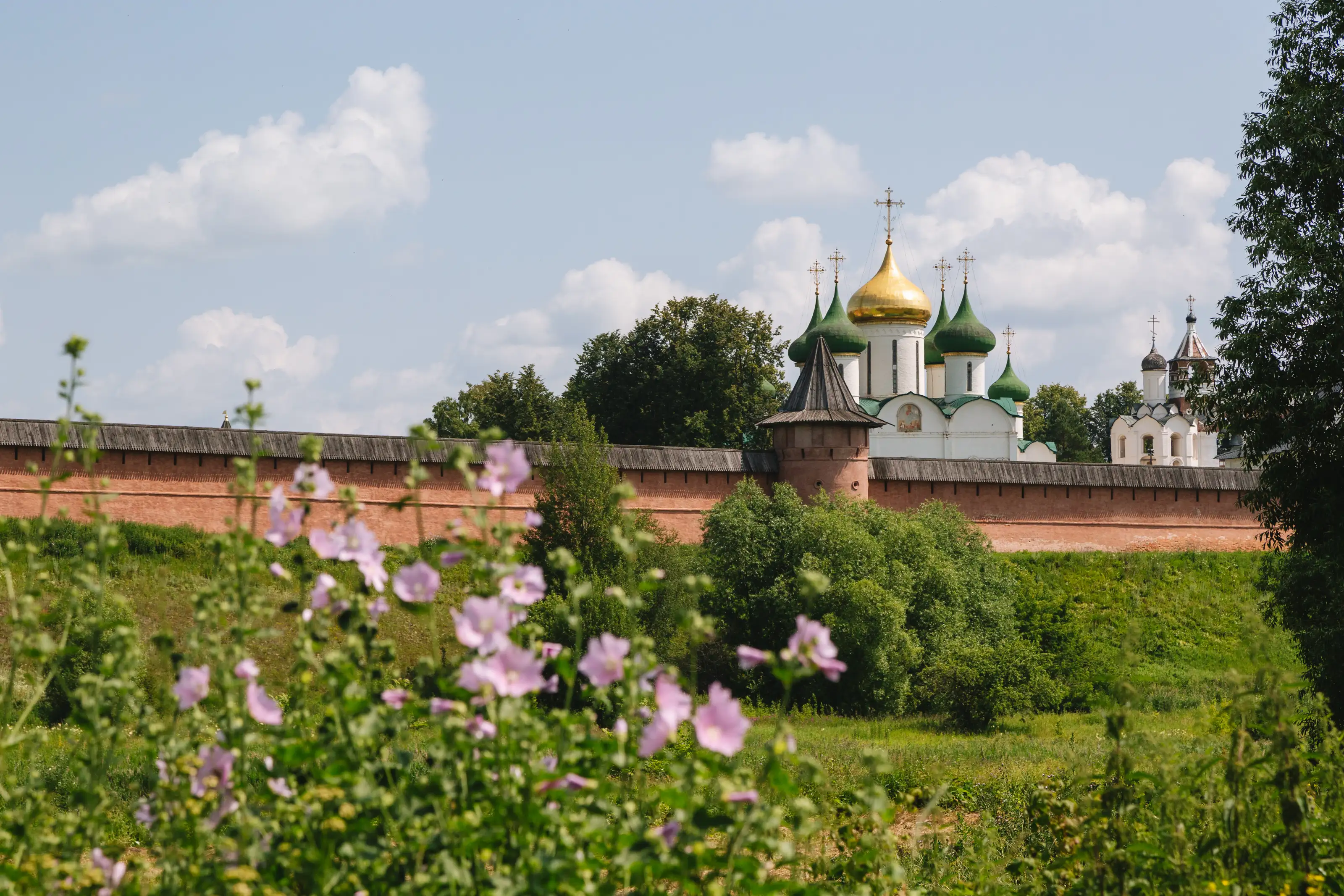 Спасо-Евфимиев монастырь