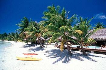 Bora Bora Eden Beach Hotel — фото 4