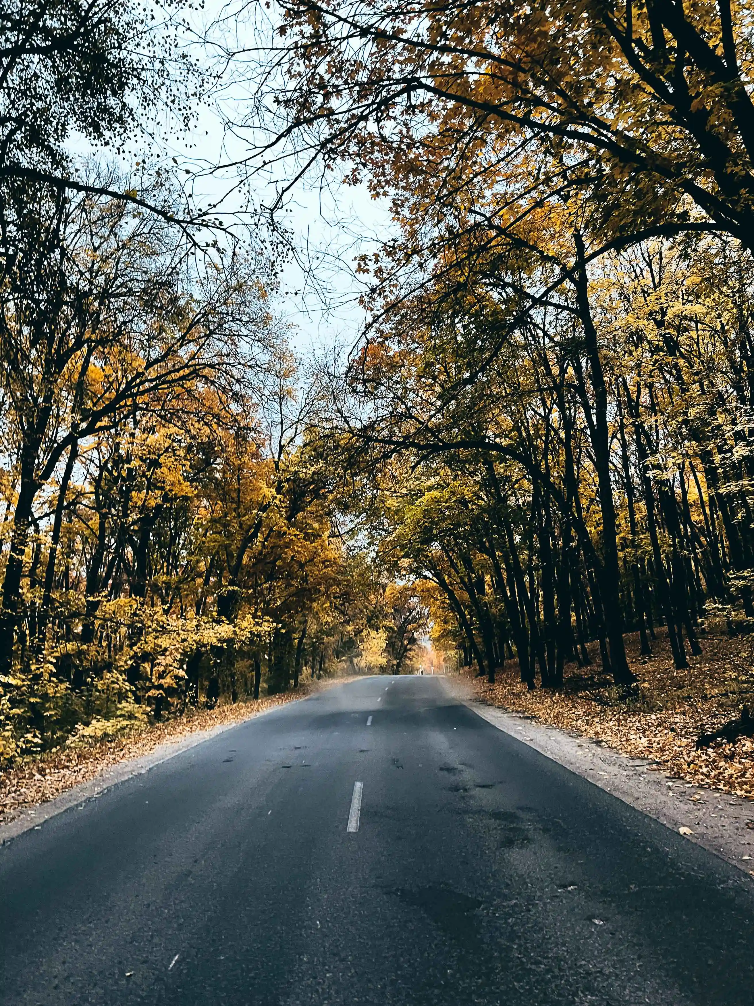 Дорога в сторону Ширяево
