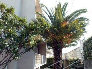 Katija Apartamenti — фото 4